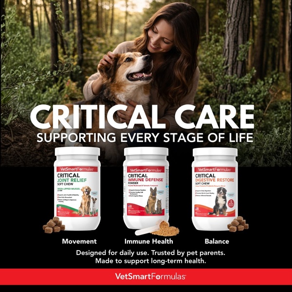 A high-trust lifestyle image featuring a pet parent and dog with three core product offerings highlighted for health support.